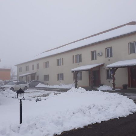 Vila Zoppas Inn Sînnicolau Mare Εξωτερικό φωτογραφία